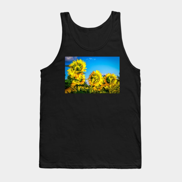 Sunflowers 4 Tank Top by Robert Alsop